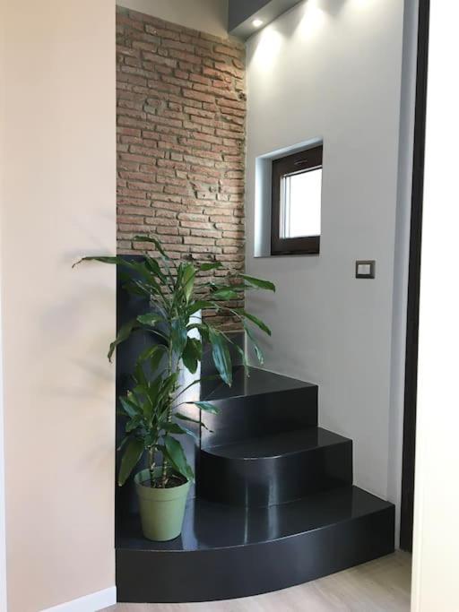 Domus 25 *
